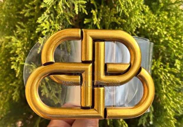 Ladies Wide Clear Belts - main view