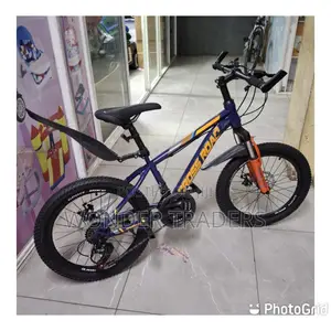 Sports Bike Size 20 With Gear S