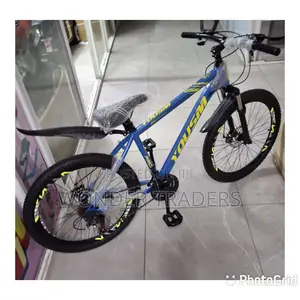 Size 24 Gear Bike Mountain Bike