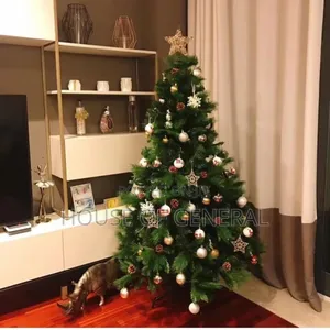 *Cyprus Christmas Tree*5ft-1.5 MTRS