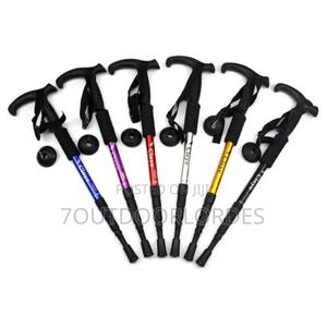 Retractable Hiking Sticks - main view
