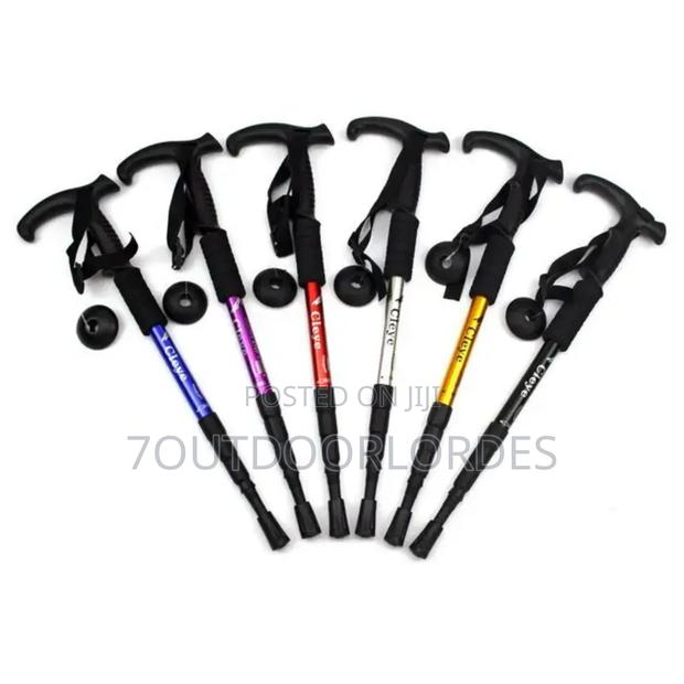 Retractable Hiking Sticks