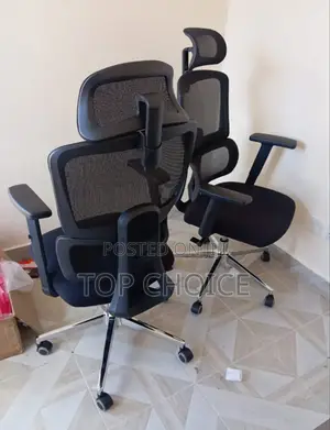 Ergonomic Executive Orthopedic Office Chair