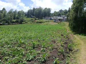 Deal 3.5 Acres for Sale Off Ngong-Kiserian Highway