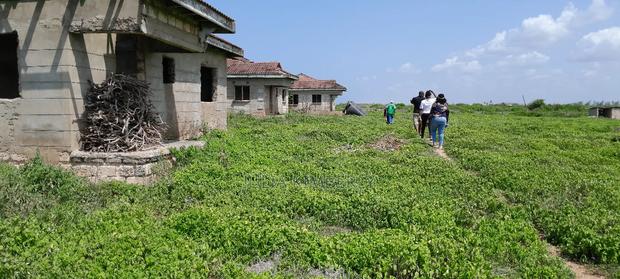 2 Acre Leasehold Beach Plot 1st Row Tezo