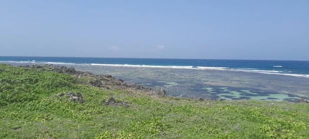 2 Acre Leasehold Beach Plot 1st Row Tezo - thumbnail 2