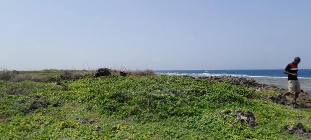 2 Acre Leasehold Beach Plot 1st Row Tezo - thumbnail 4