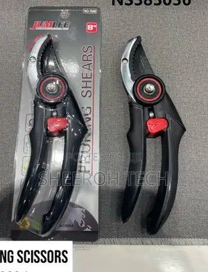 Pruning Scissors