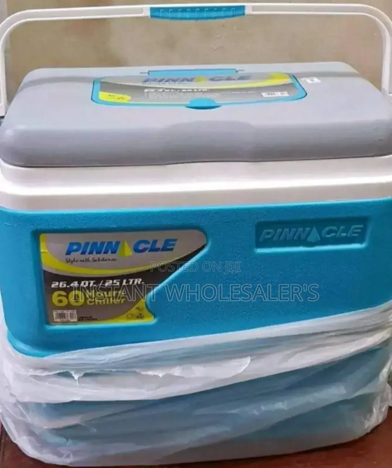 Pinnacle 25 Litres Blue Cooler Boxes