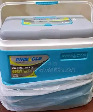 Pinnacle 25 Litres Blue Cooler Boxes