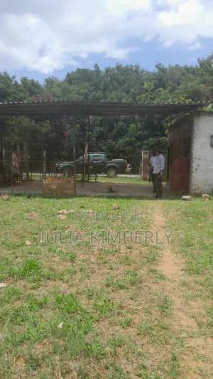 MTWAPA COMMERCIAL 1/4 Plot for Sale