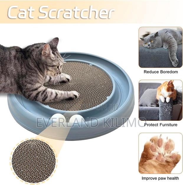 Cat Ball Track and Cat Scratcher. - main view