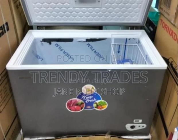 Goldstone 310l Freezer