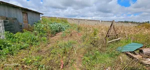 Prime 1⁄4 Plot Perimetre Wall for Sale Marura Delta Eldoret