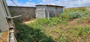 Prime 1⁄4 Plot Perimetre Wall for Sale Marura Delta Eldoret
