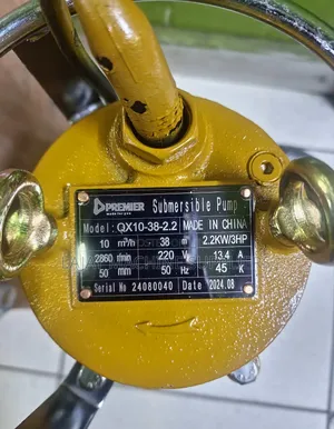 Premier Electric Shallow Pump 3hp 38m 2 Inches