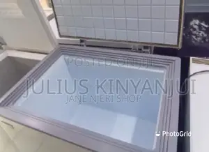 Origina 250litrrs Freezer