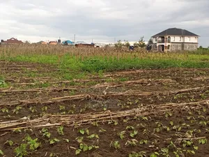 1/8th Plot for Sale in Mwariki C