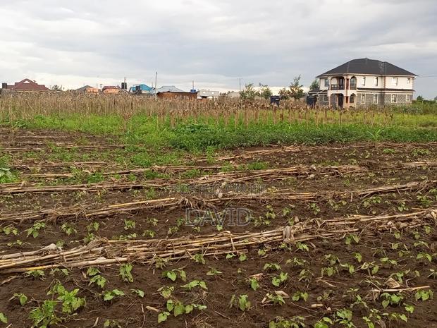 1/8th Plot for Sale in Mwariki C - thumbnail 2