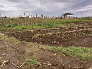 1/8th Plot for Sale in Mwariki C