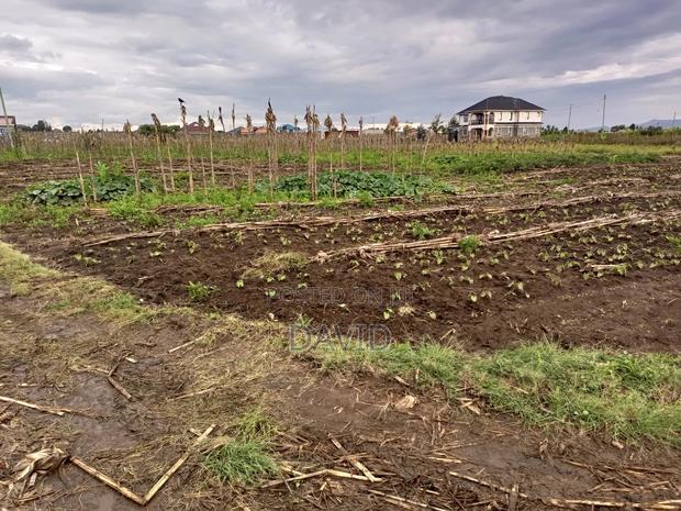 1/8th Plot for Sale in Mwariki C - thumbnail 3