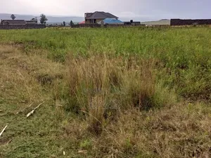 1/8th Plot for Sale in Mwariki C