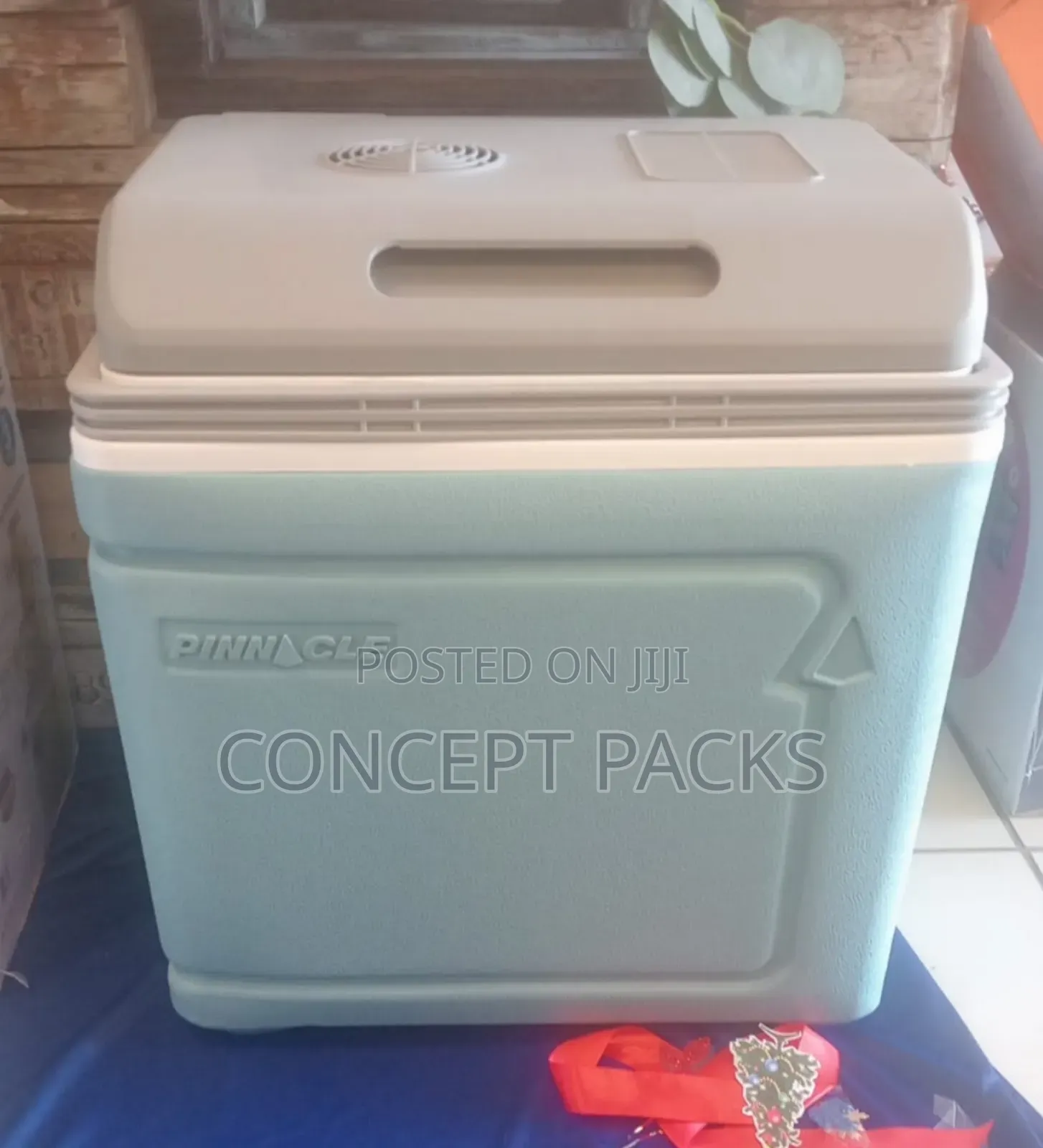 Pinnacle 30 Litres Power Electric Cooler