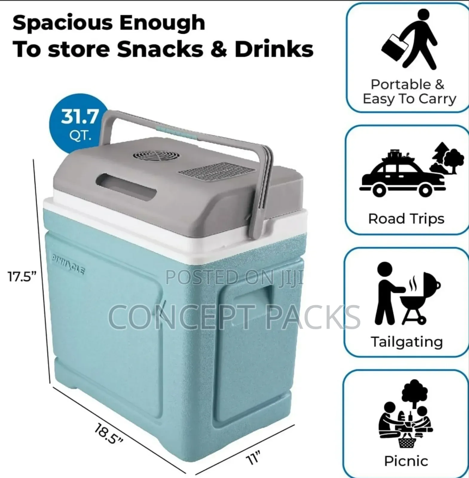 Pinnacle 30 Litres Power Electric Cooler