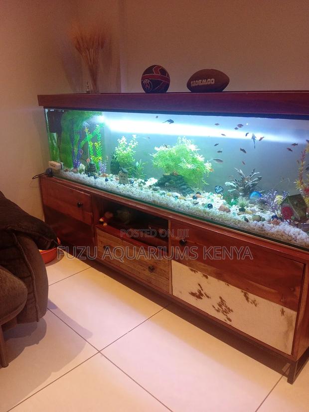 Complete Aquarium With Strong Hardwood Cabinetry