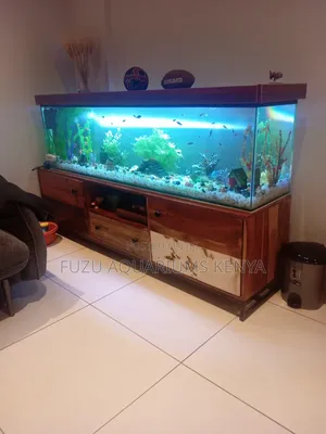 Complete Aquarium With Strong, Fancy Base
