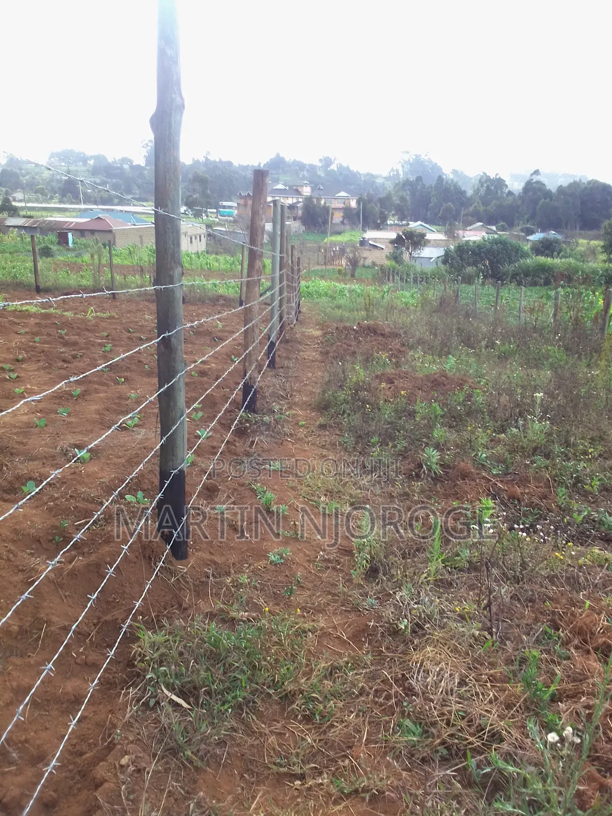 50 by 150 Acre Plot Nyambari