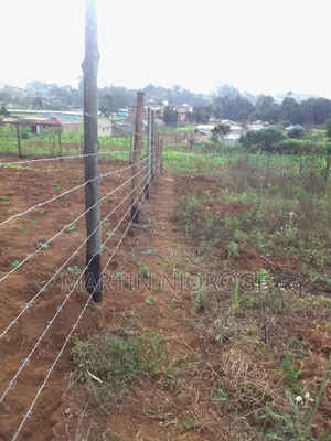 50 by 150 Acre Plot Nyambari