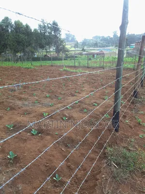 50 by 150 Acre Plot Nyambari