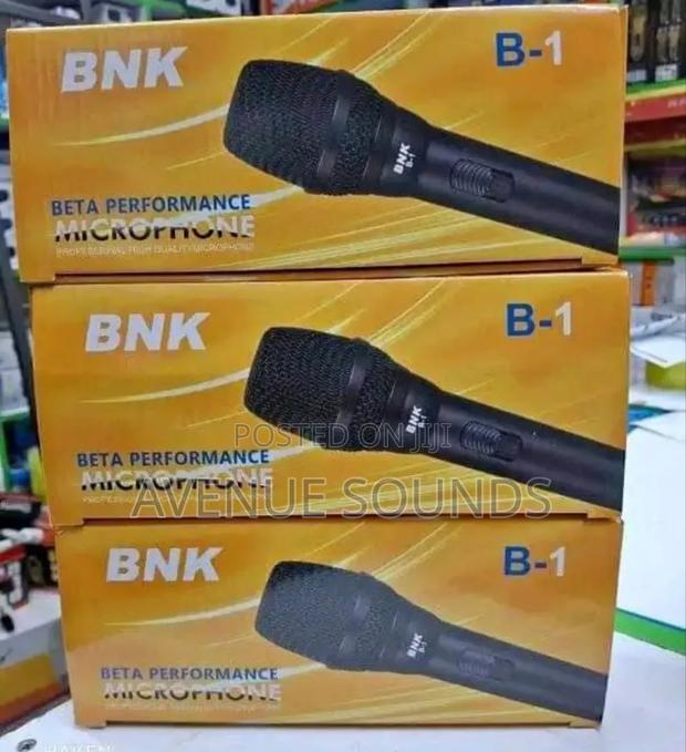 BNK Wired Mic B1