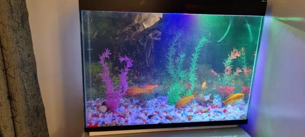 Full Set Up Aquarium With Lots of Fish