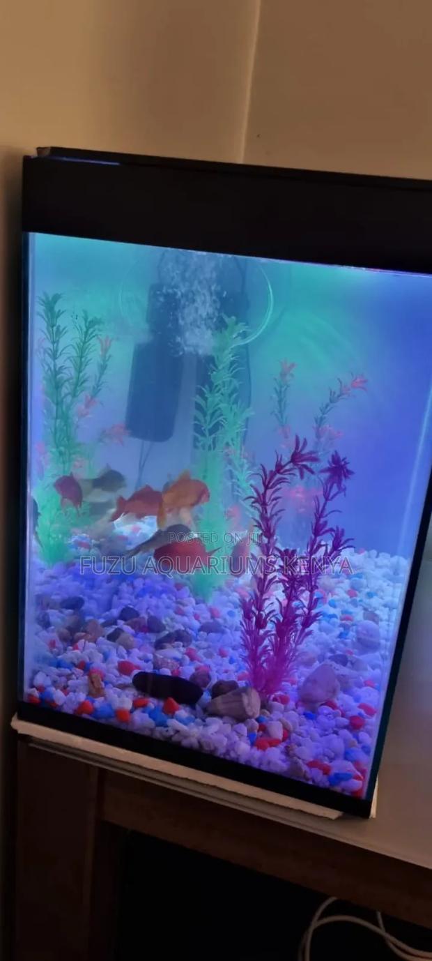 Fully Equipped Aquarium Fish Tank With Fish - thumbnail 2