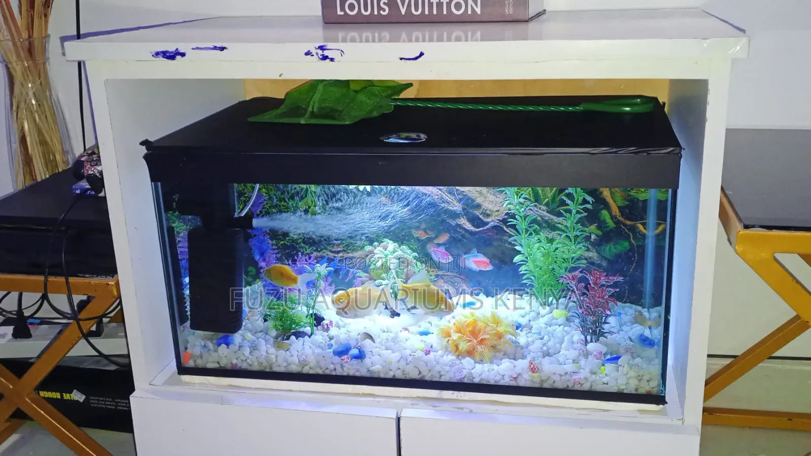 Full Deco, Fish, Filter and Aquarium