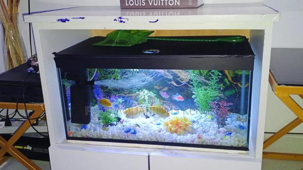 Full Deco, Fish, Filter and Aquarium - main view
