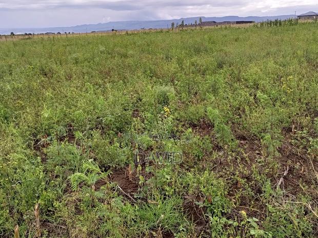 Half Acre Plot for Sale in Mwariki C Pipeline - thumbnail 2