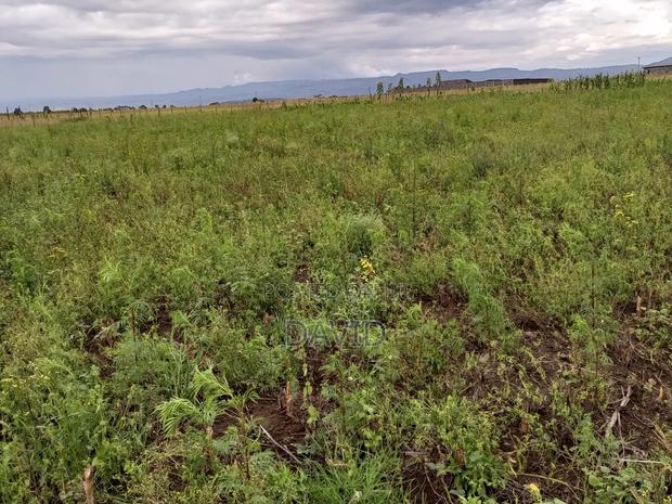 Half Acre Plot for Sale in Mwariki C Pipeline - thumbnail 4