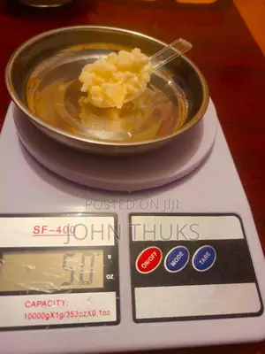 Kefir Milk Grains