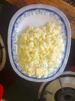 Kefir Milk Grains