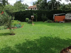 Zimbabwe Grass Rolls For Sale