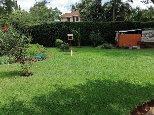 Zimbabwe Grass Rolls For Sale