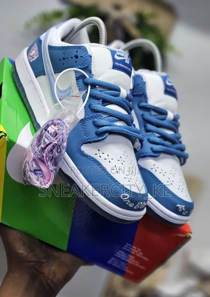 Nike Sb Dunks