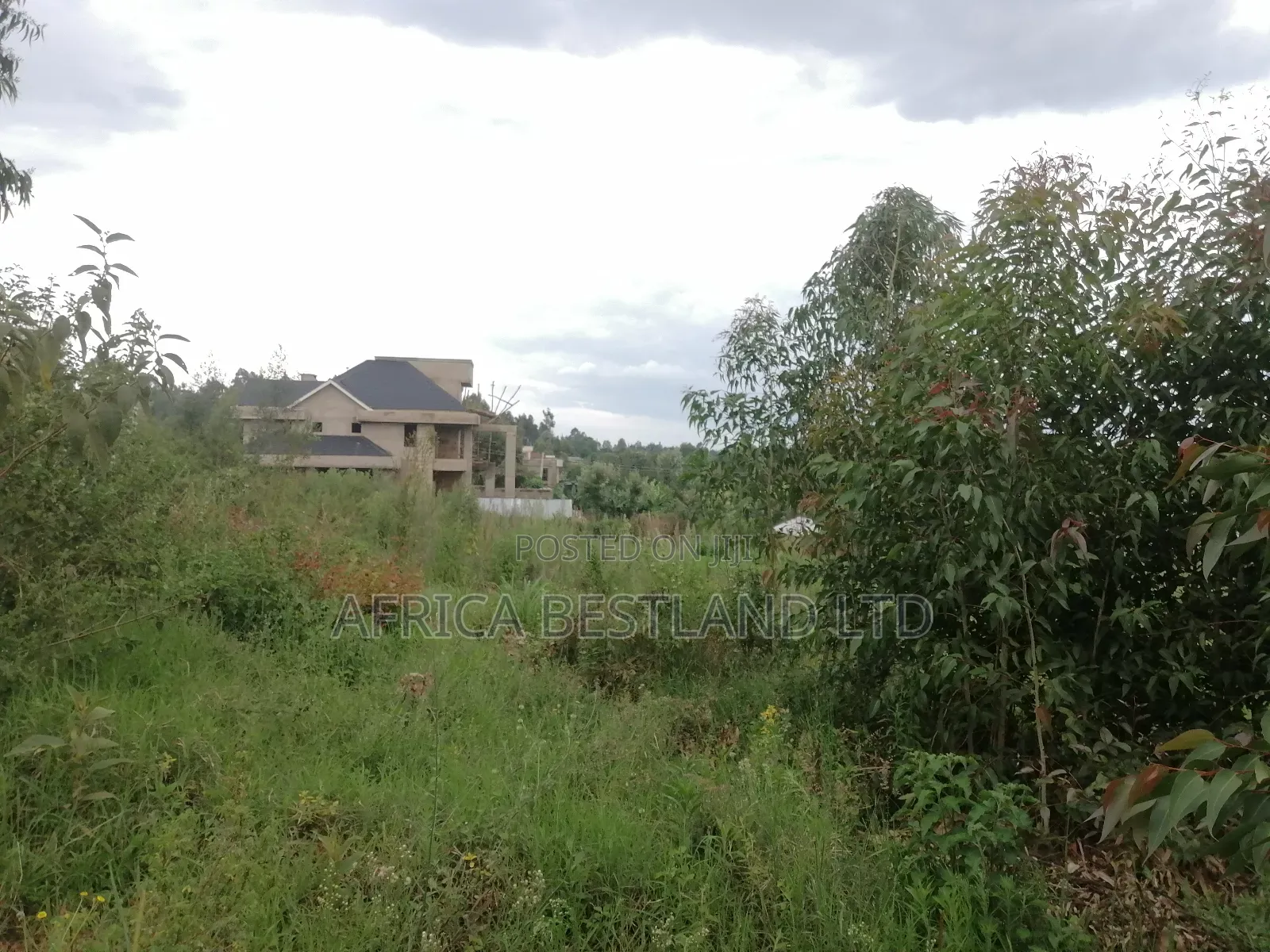 50x100 Plot for Sale in Kikuyu Gikambura