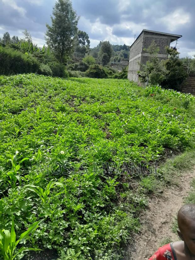 Muthiga Regen Quick Sale 1/4 Acre