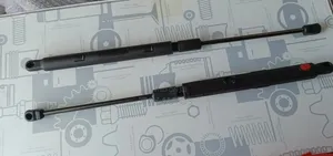 Front Bonnet Damper Hood Absorber Mercedes-benz W205 W213