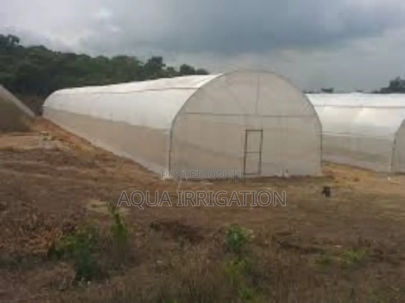 Weather-Resistant Greenhouse Film Solutions"
