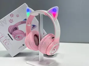 Kids Wireless Headphones/ Noise Cancelling Kids Headphones